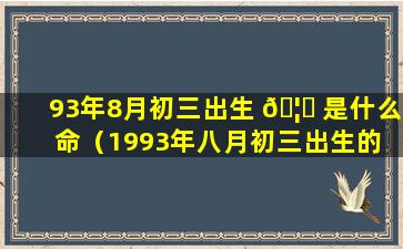 93年8月初三出生 🦄 是什么命（1993年八月初三出生的 💮 人命运）